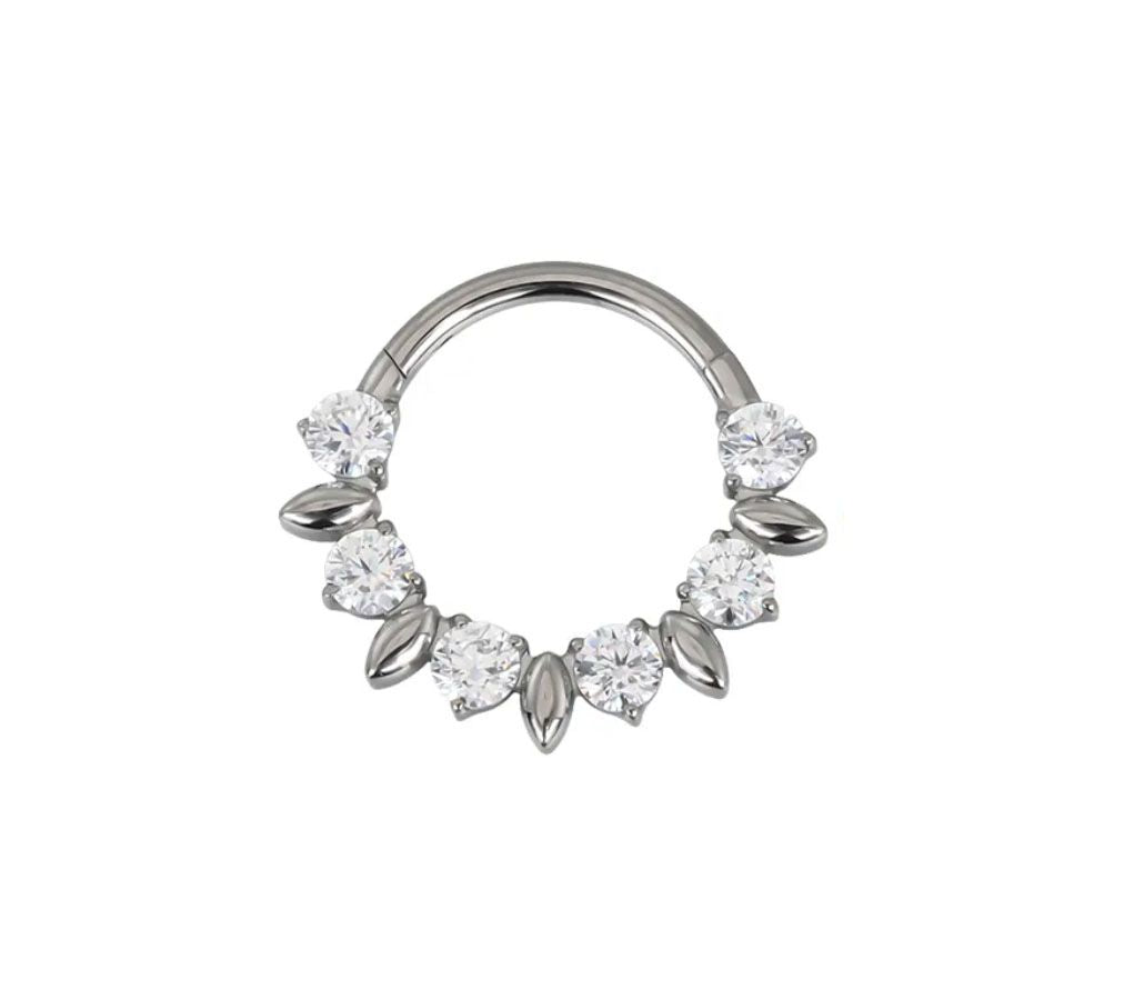 Titan Segmentring mit  Kristallen