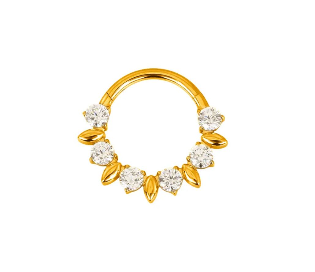 Titan Segmentring mit  Kristallen