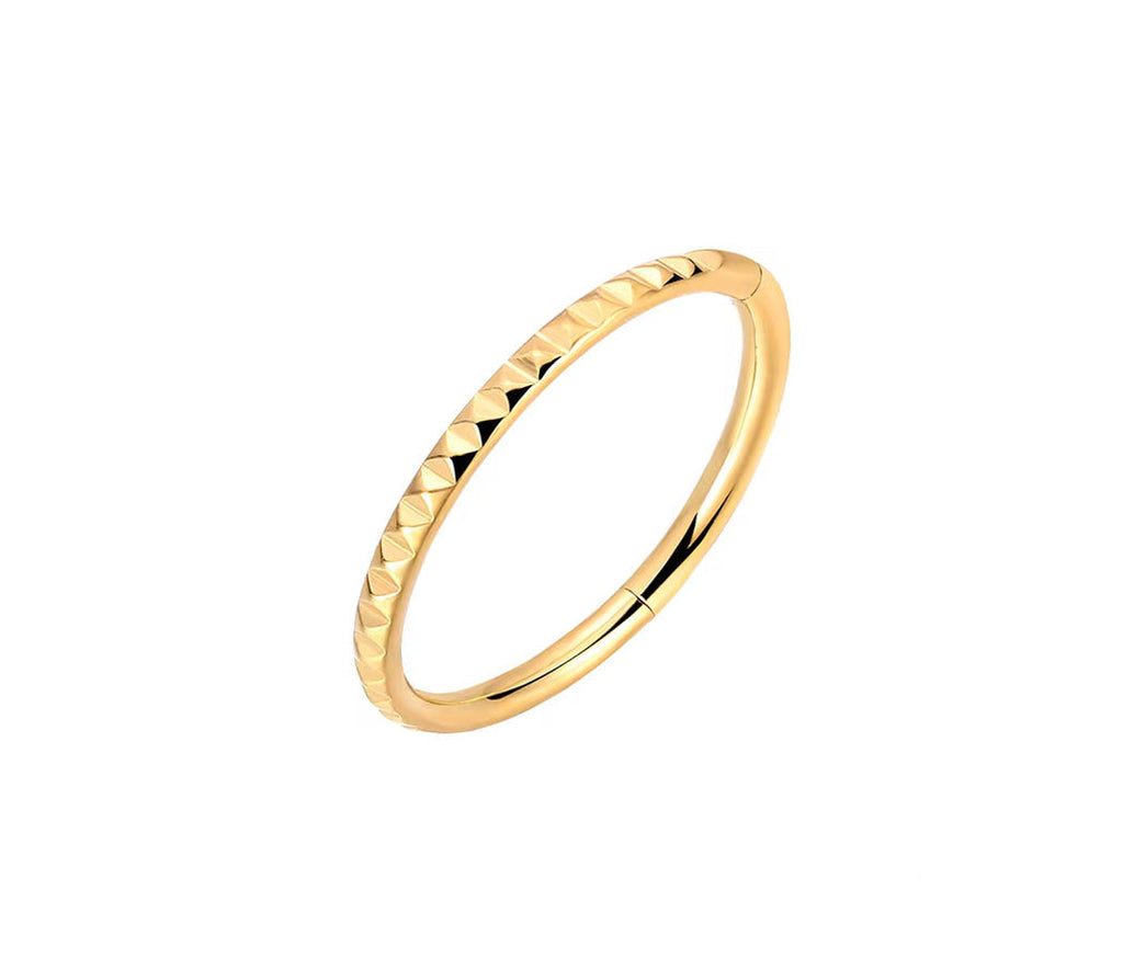 Titan Segmentring Lasergravur