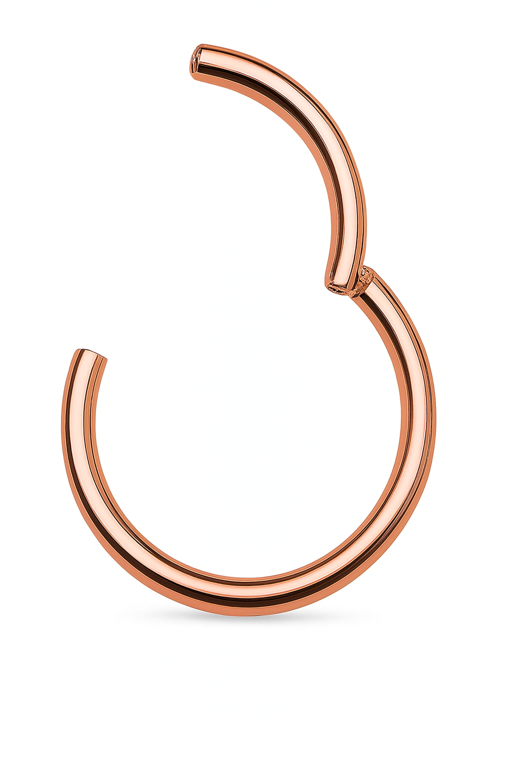 Titan Hinged Segmentring